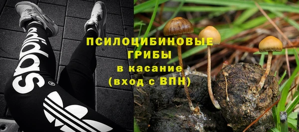не бодяженный Алзамай