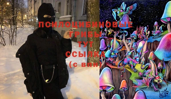 не бодяженный Алзамай