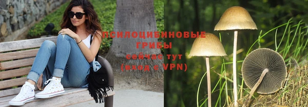 синтетический гашиш Алексин