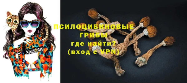 не бодяженный Алзамай