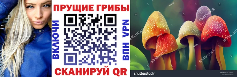 ссылка на мегу ССЫЛКА  Суджа  Галлюциногенные грибы мицелий  наркошоп 